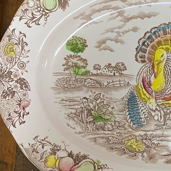18” Vintage Ironstone Turkey Platter Trimont Ware Japan - Picture 4 of 6
